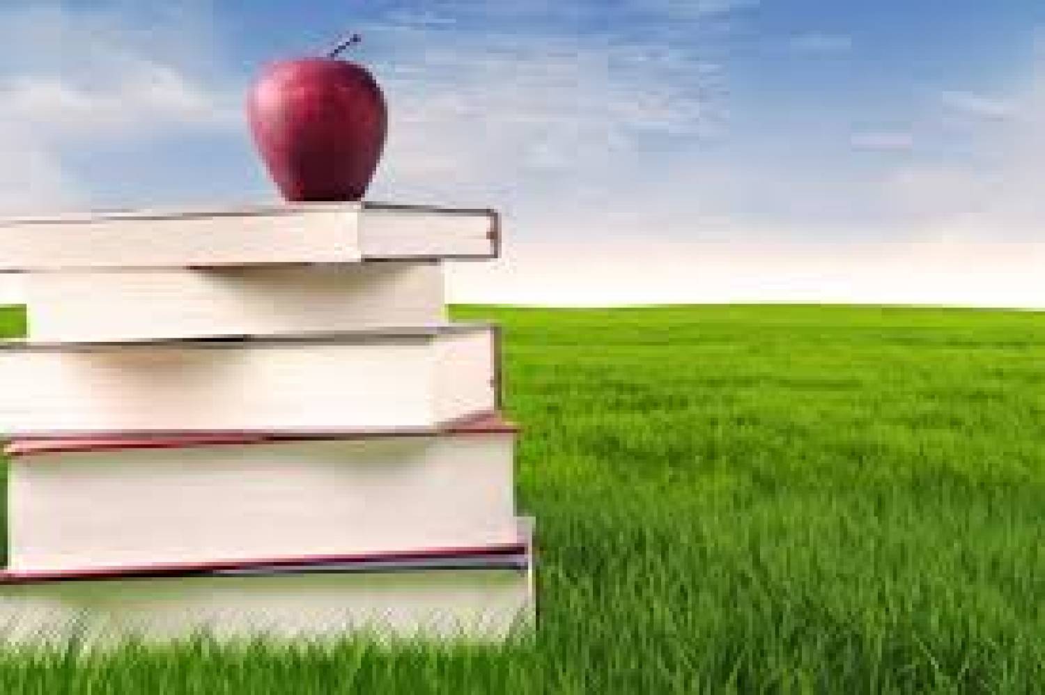 Summer Learning McNair Secondary School